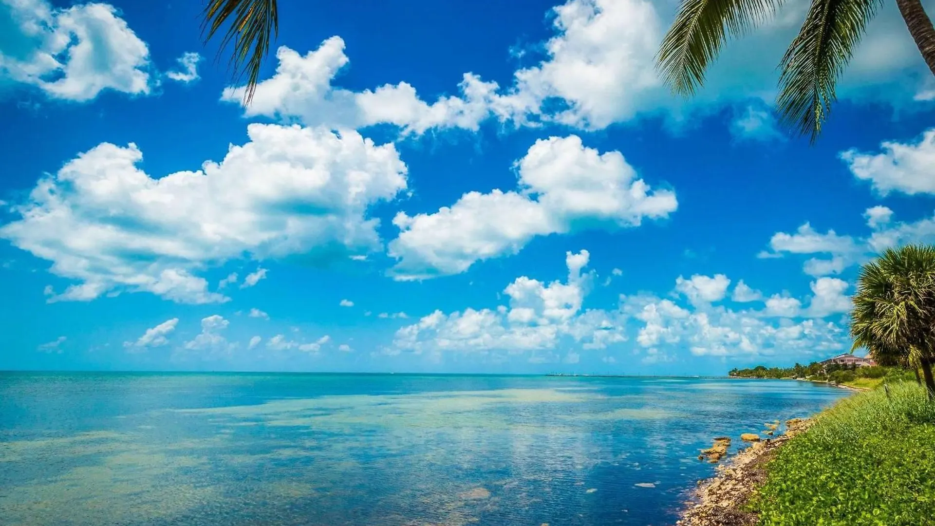 Holiday home Papaya Place By Avantstay Great Location W Balcony Outdoor Dining Shared Pool Hot Tub Key West
